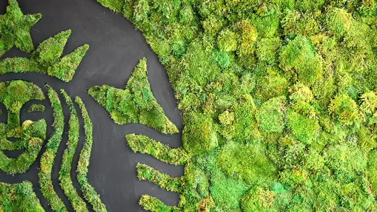 Las 5 estrategias de Starbucks para alcanzar sus objetivos de sustentabilidad 2030