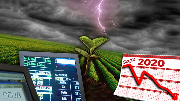 Un cóctel letal para la soja: el coronavirus, el dólar fijo y la cosecha brasileña desaniman a los inversores del campo argentino