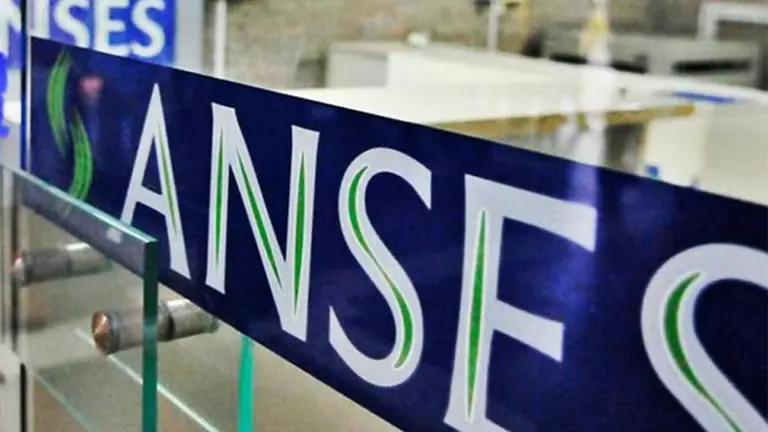 Los turnos para atención presencial se pueden solicitar desde la web de la ANSES