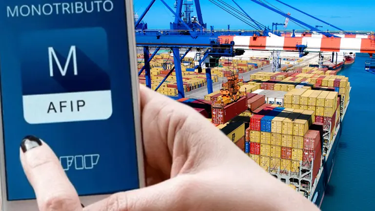 Monotributo: qué impuestos deben pagar los exportadores más chicos y cómo no perder dólares