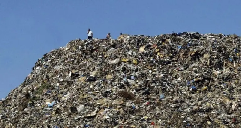 Proponen incrementar las exportaciones de residuos "eco-friendly" para enfrentar la post pandemia: así afectará a la economía