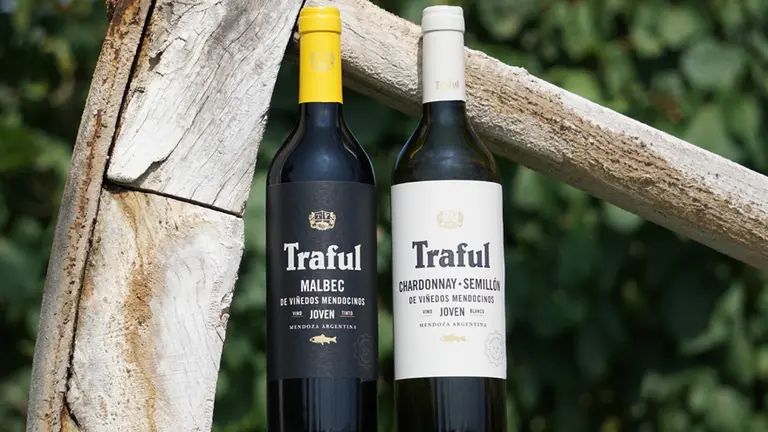 Nuevos vinos por poca plata: un tinto y un blanco que no fallan