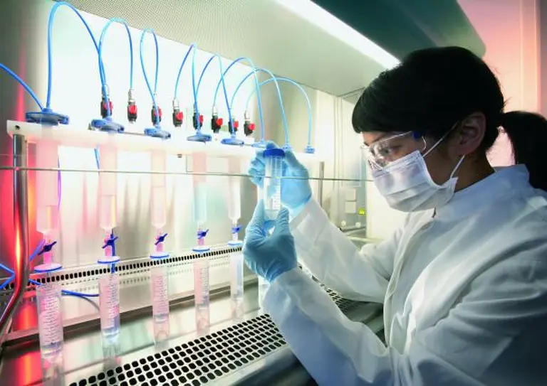 Este sector busca y capacita talento para trabajos con sueldos de 300.000 pesos