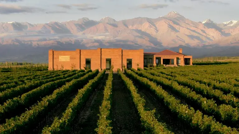 "Vinos de montaña": conocé la nueva imagen de Andeluna