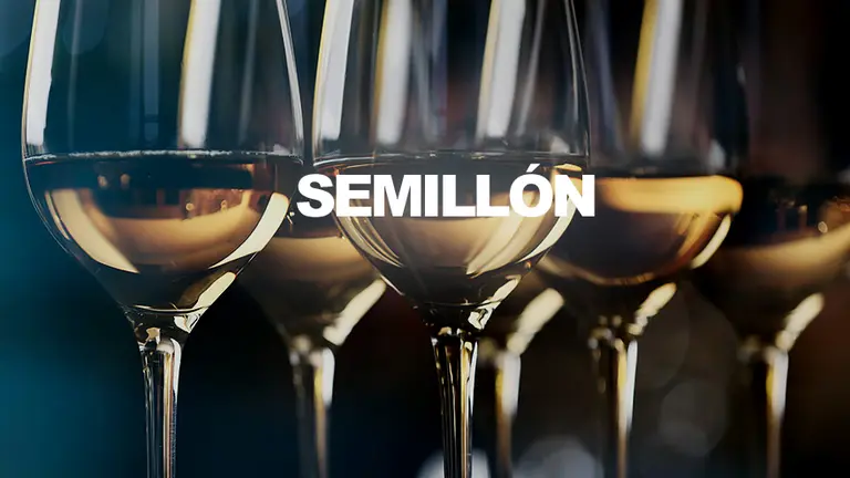 Vinos y el retorno del Semillón: por qué está en boca de todos