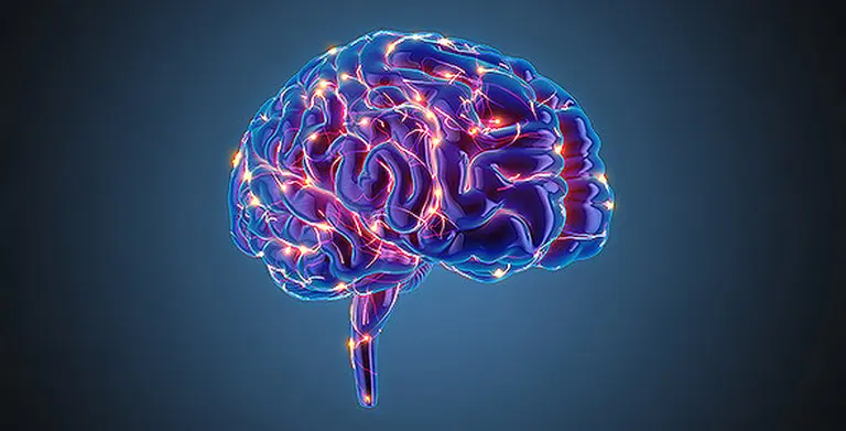 ¿Machismo o ciencia?: cuáles son las diferencias entre el cerebro de un hombre y el de una mujer