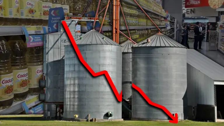 Cañuelas, Vicentin, Molinos: los gigantes de la alimentación se hunden en crisis sin final visible