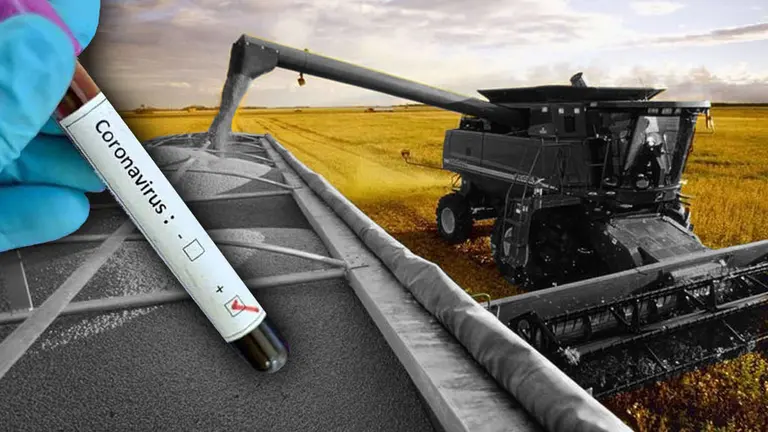 Efecto coronavirus: la pandemia ya empezó a golpear los puntos débiles de la economía argentina