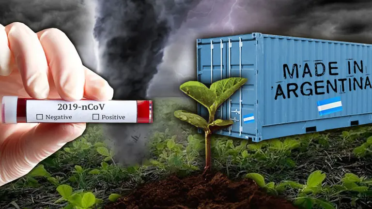 Una tormenta perfecta: por qué el impacto del coronavirus sobre las exportaciones argentinas será notable