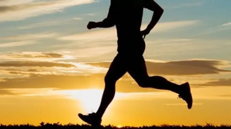 Qué efecto tiene la práctica intensa de ejercicio sobre el crecimiento las células cancerígenas