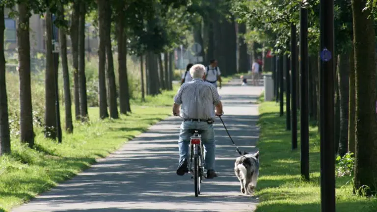 Salud: estos son los ejercicios que los mayores de 60 deben combinar con la caminata