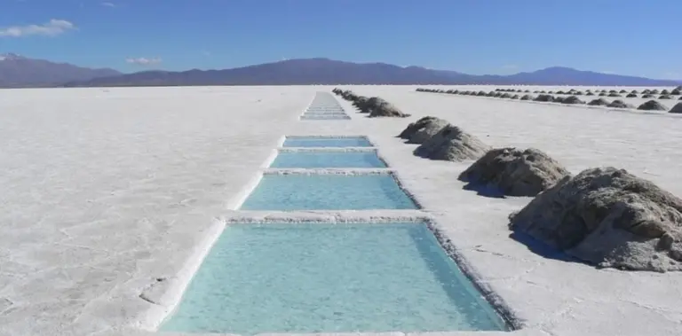 Por el coronavirus, un grupo minero desiste de un proyecto millonario para industrializar litio en Salta