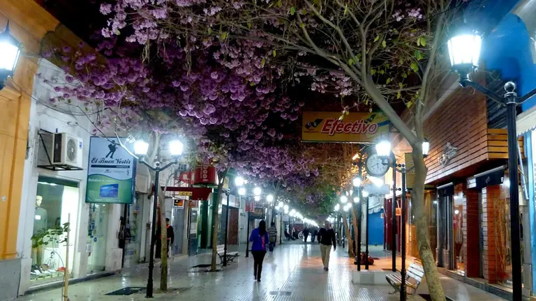 ¿Un oasis?: en esta provincia no hay un solo caso de coronavirus y tendrán cuarentena light