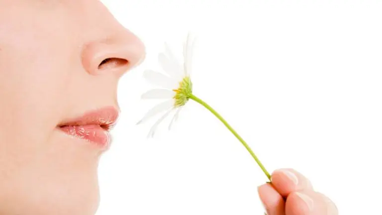 Coronavirus versus resfrío: la pérdida de olfato y gusto son diferentes