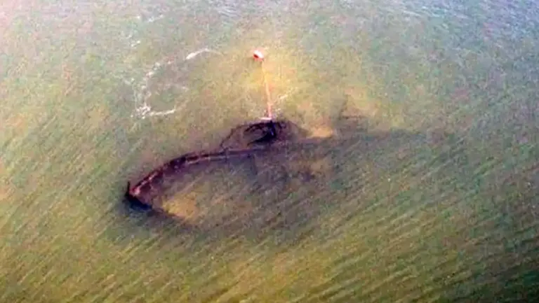 Por la bajante del río Paraná, encontraron un barco hundido hace más de 100 años