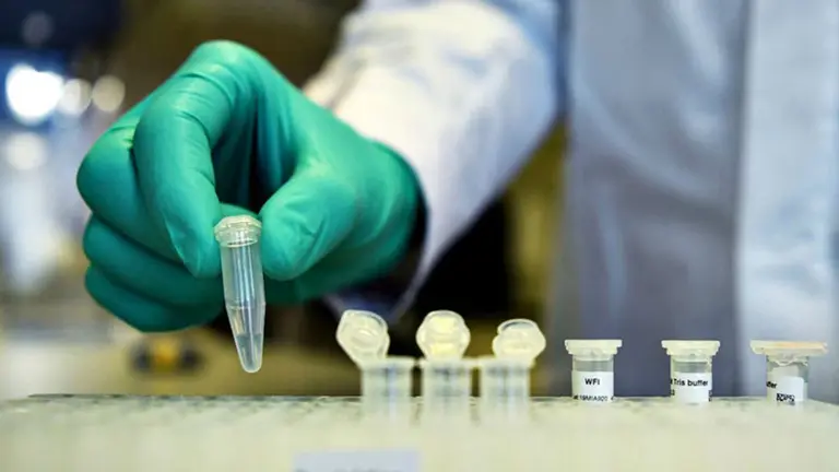 Expectativa mundial: el Remdesivir inhibe "potentemente" el coronavirus y baja el tiempo de recuperación