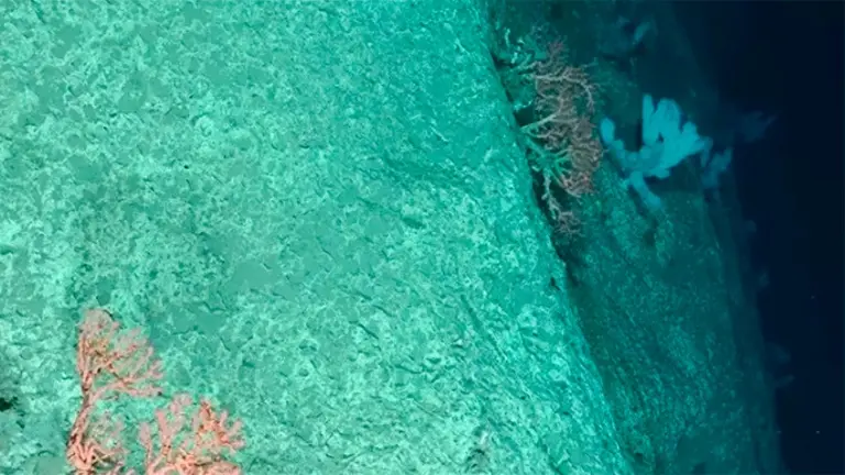 Un submarino autónomo ruso llegó al punto más profundo de la Tierra y esto es lo que vio