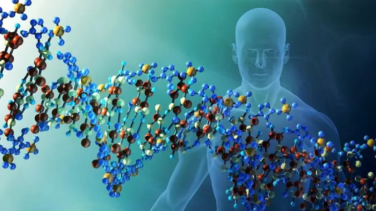 Biodescodificación: el significado de cada enfermedad