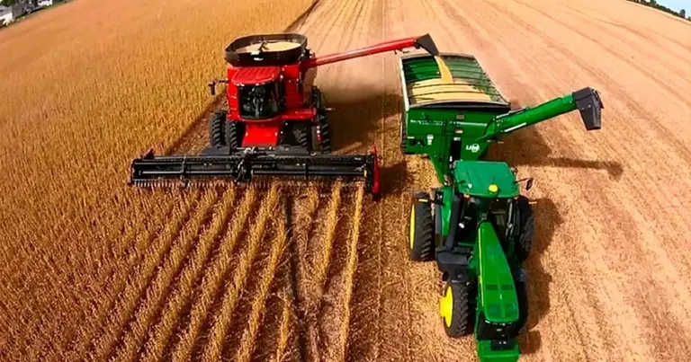 Además de Vicentin, ¿qué otro grupo gigante del agro tiene una millonaria deuda?