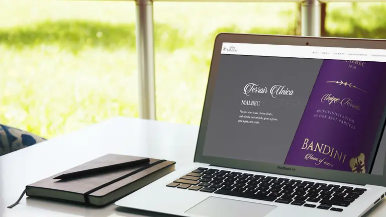 Vinos: esta es la primera bodega de la Argentina que se lanza a través de Zoom