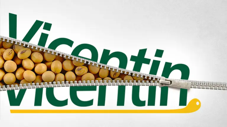 Negocio de otros: caída Vicentin, las empresas extranjeras se adueñaron del "top 5" de la exportación de granos