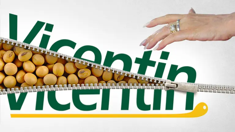 Desde vino hasta logística: cuáles son los múltiples negocios del Grupo Vicentin y en manos de quién quedarán