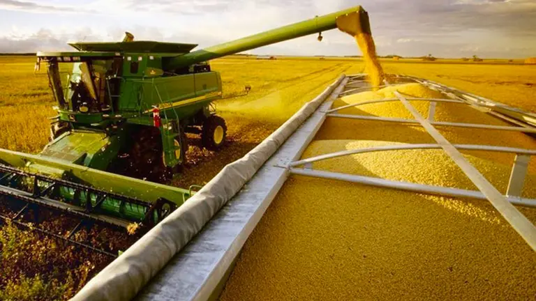 La soja y el trigo anotan nuevos máximos de hasta cinco años