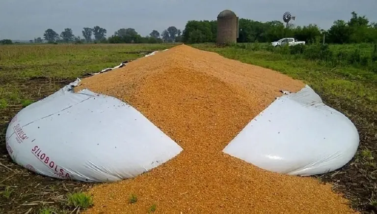 La multinacional Dow se une a cooperativa local para transformar silobolsas en un nuevo material: ¿cómo lo hará?