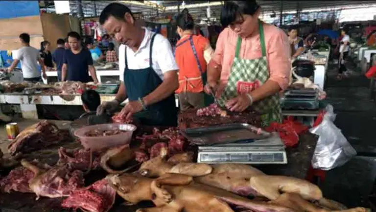 Abren en China un festival de carne de perro en plena pandemia y pese a las prohibiciones