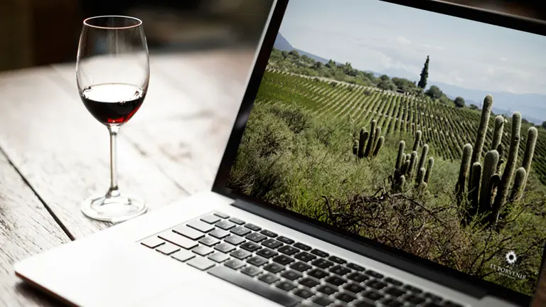 ¿Por qué están cambiando los vinos de Salta?