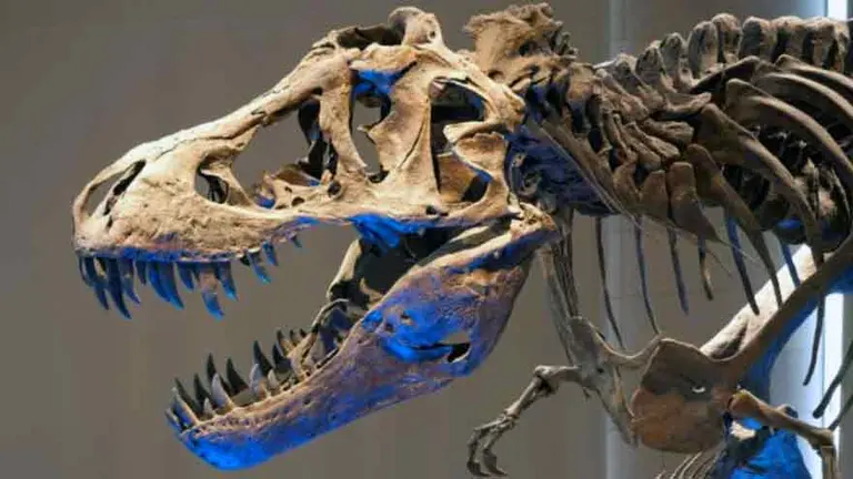 ¿Cómo encontrar los dinosaurios de "Jurassic World" en el buscador de Google'