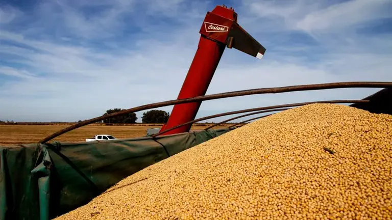 Con cuánto se queda el Estado de cada $100 de renta agrícola