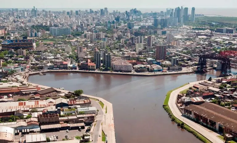 Video: aparecen patos en el Riachuelo por primera vez en años