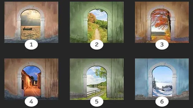 ¿Qué camino tomarías?: el test psicológico que define tu personalidad