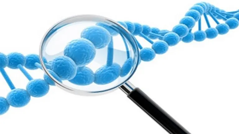 Nuevo medicamento biosimilar contribuye a mejorar el acceso y la sustentabilidad de los sistemas de salud