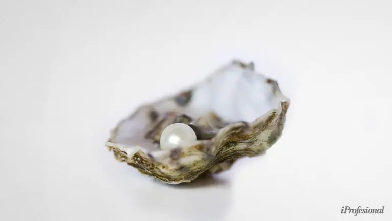 Las "perlitas" de la City: cuáles son las acciones de empresas 4.0 para invertir ahora y ganar en la pospandemia