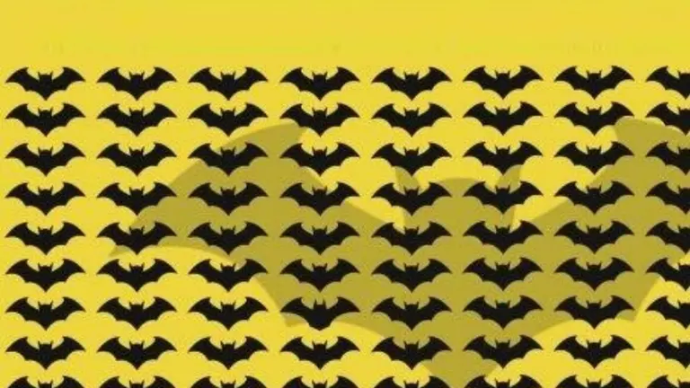 Acertijo visual: ¿Puedes encontrar al murciélago distinto?