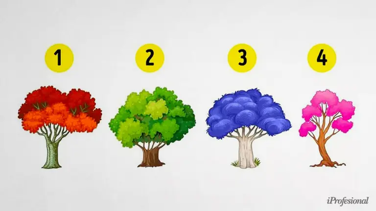 ¿Cuál de estos 4 árboles elegís?: este test te dice qué emoción te representa