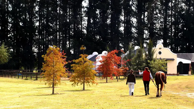 Vivir en una chacra cerca de Buenos Aires ahora es más barato: las zonas más buscadas