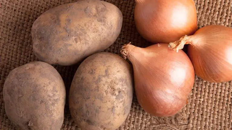 Esta es la razón por la que nunca tenés que guardar papas y cebollas juntas