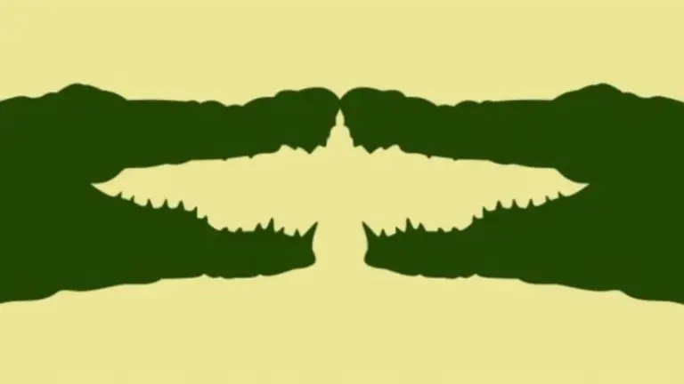 El test del animal oculto: ¿qué imagen ves y qué puede decir esto de vos?