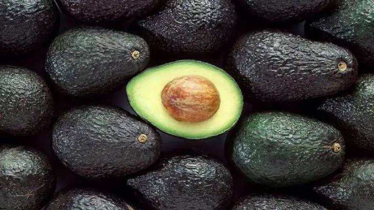 ¿Cómo podés evitar que la palta se oxide?: el truco definitivo para que se mantenga fresca
