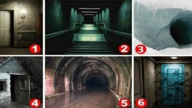 Test del miedo: ¿Cuál de estas 6 imágenes te causa más temor?