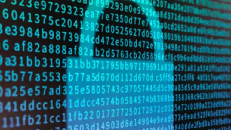 Seguridad: ¿qué deben hacer empresas y pymes para proteger sus redes?