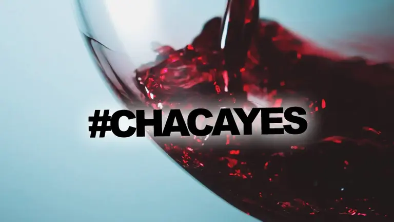 ¿Por qué todos hablan de los vinos de Los Chacayes?: te lo contamos en esta nota