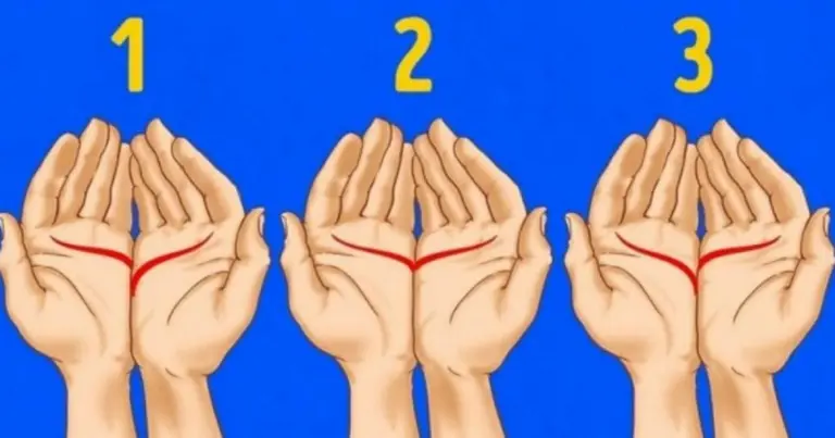 ¿Cómo son las líneas de tu mano?: el test que revela datos sobre tu forma de amar