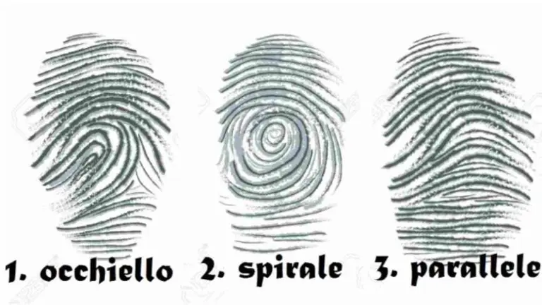 ¿Cómo es tu huella digital?: este test revela aspectos de tu carácter