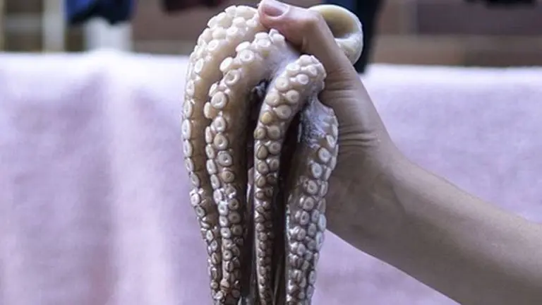 ¡Cuidado! 10 alimentos peligrosos que podrían poner en riesgo tu vida