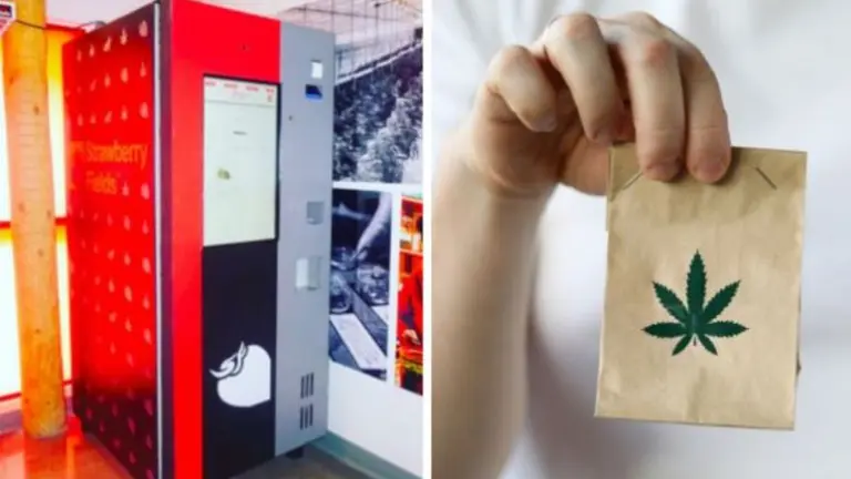 La marihuana llega a las máquinas expendedoras: ¿cómo funcionan?