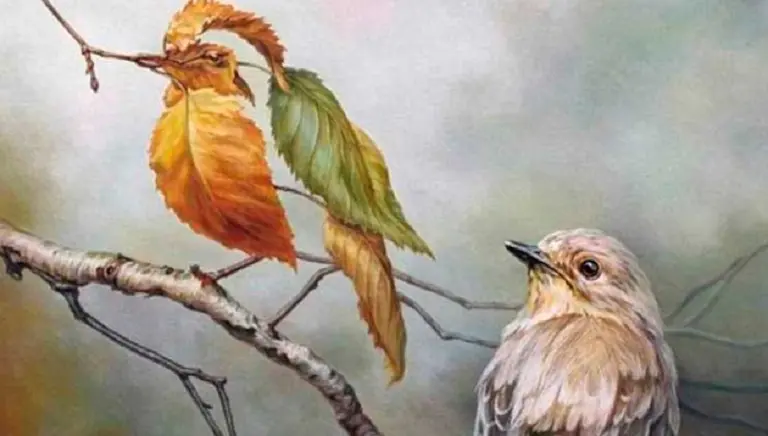 Test psicológico: lo primero que veas en la imagen revela tu virtud más destacada